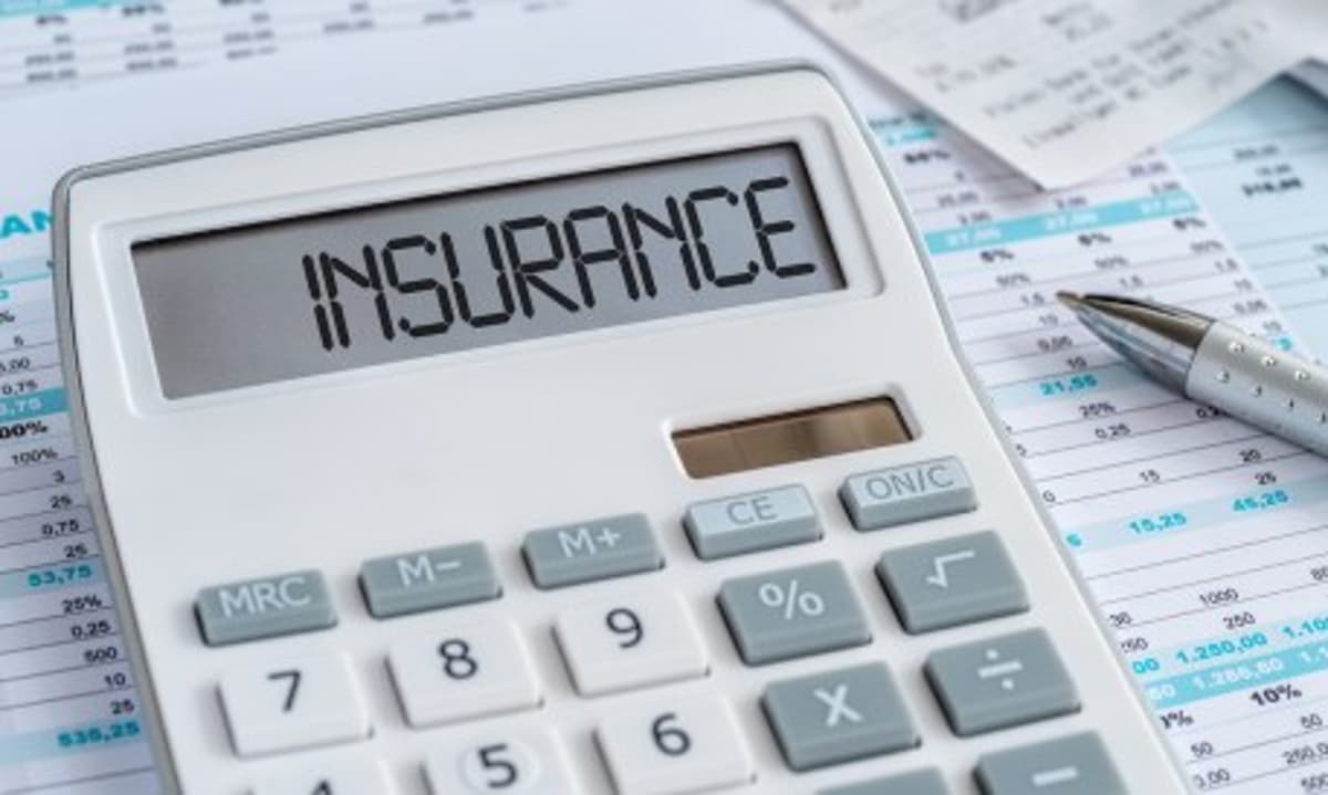 Lemonade and Porch Show AI Is Rewriting Insurance Math