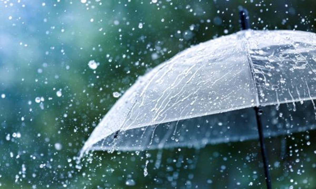 Prime Day Is Now a Weather System