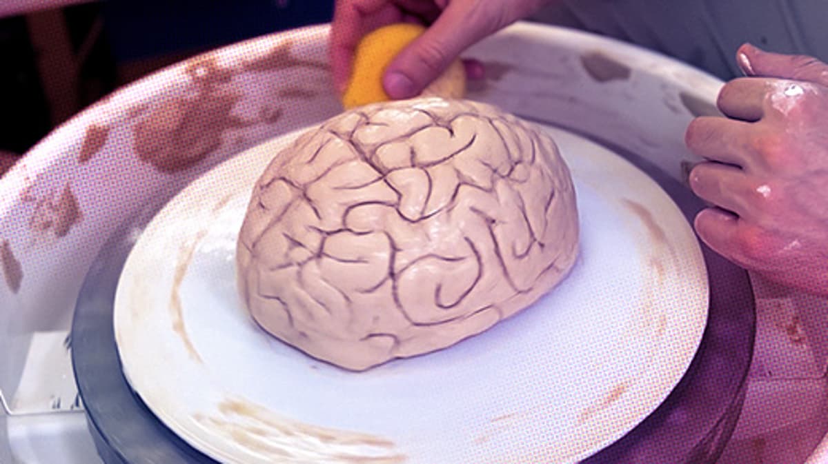 A New Type of Neuroplasticity Rewires the Brain After a Single Experience