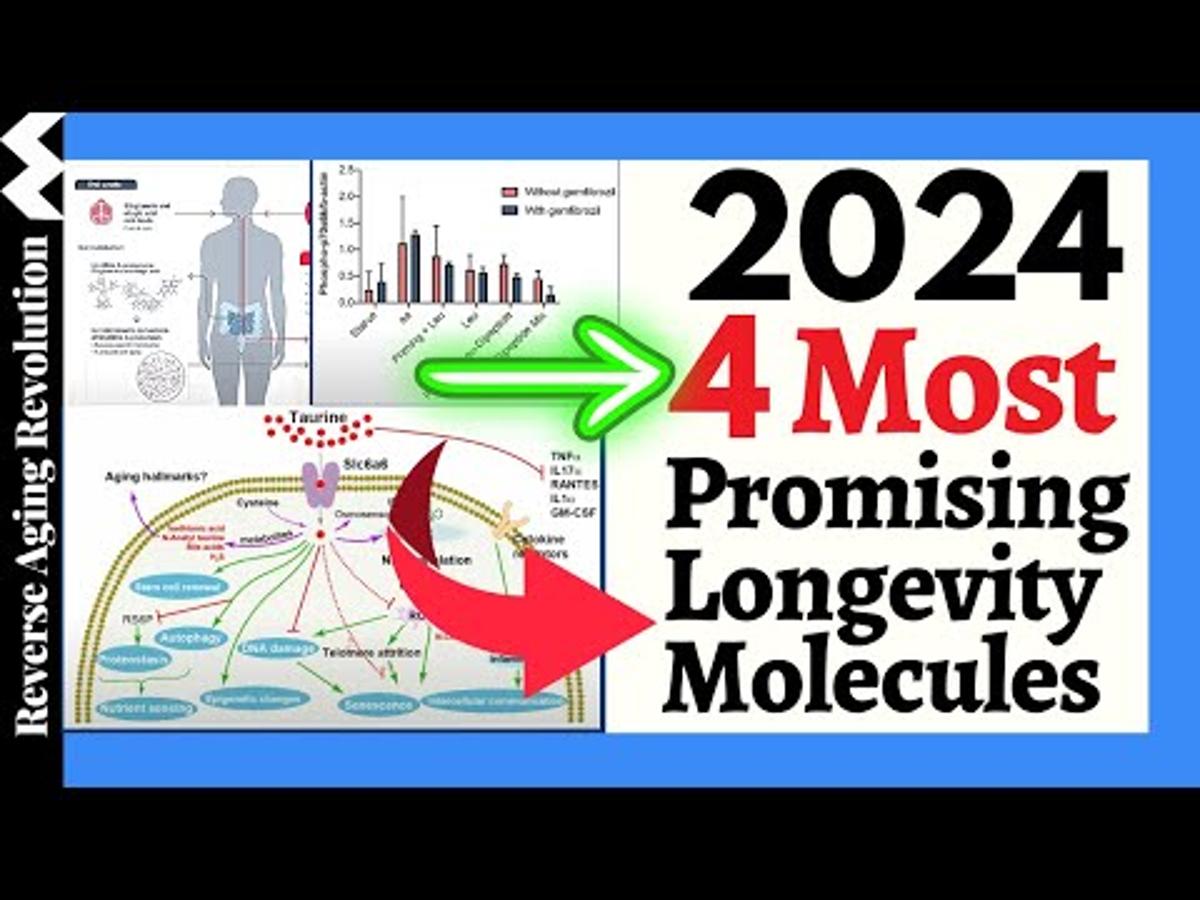 Urolithin A (UA) One of 4 Promising Agents 2024 by Brian Kennedy of NSU