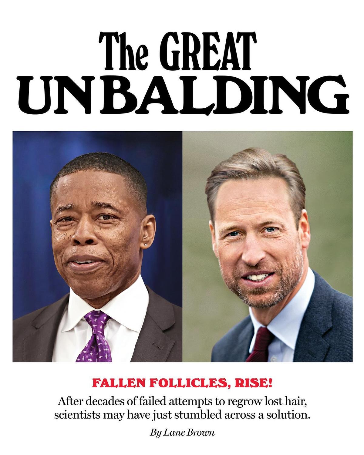 The Great Unbalding. Fallen Follicles, Rise! (NY Mag)