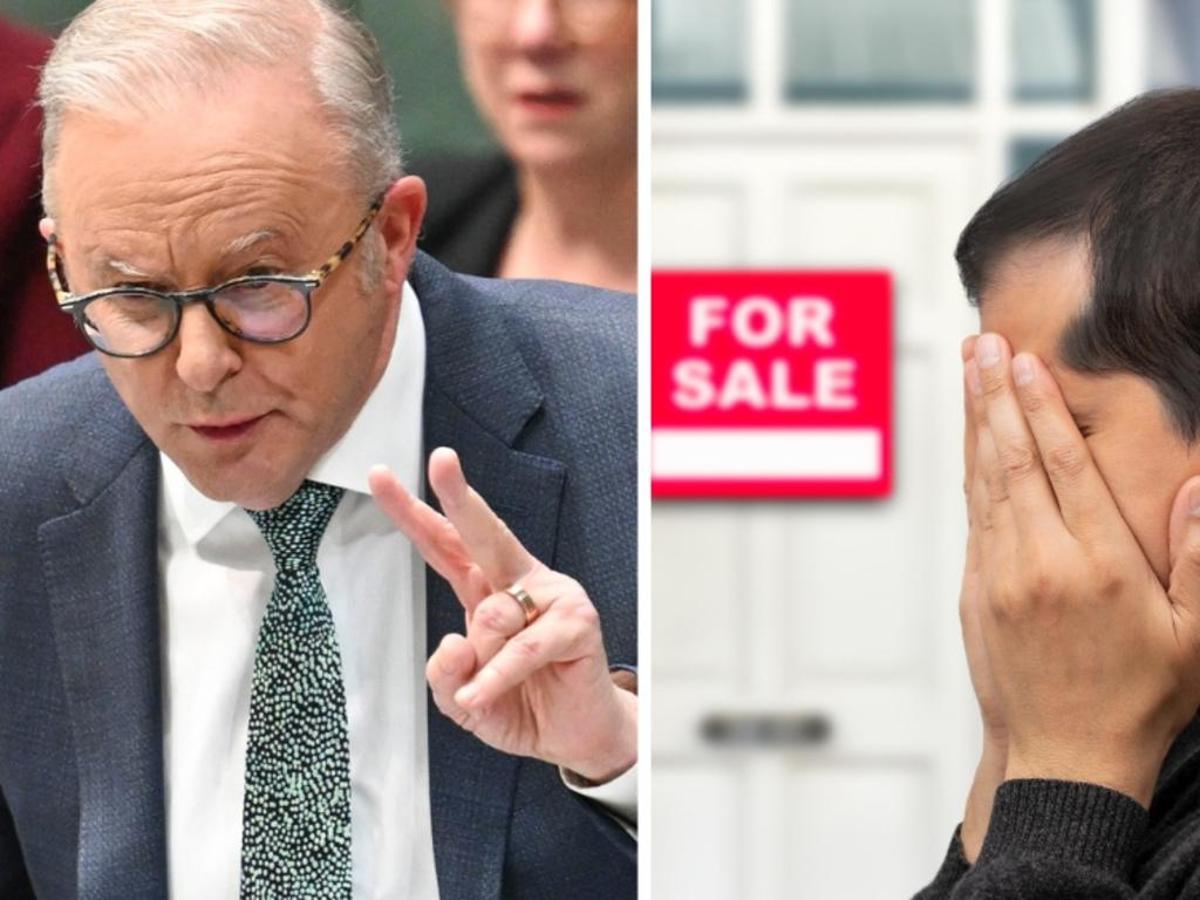 ‘Stupid’ Albanese Negative Gearing Plan Will Hurt Renters, First-Home Buyers