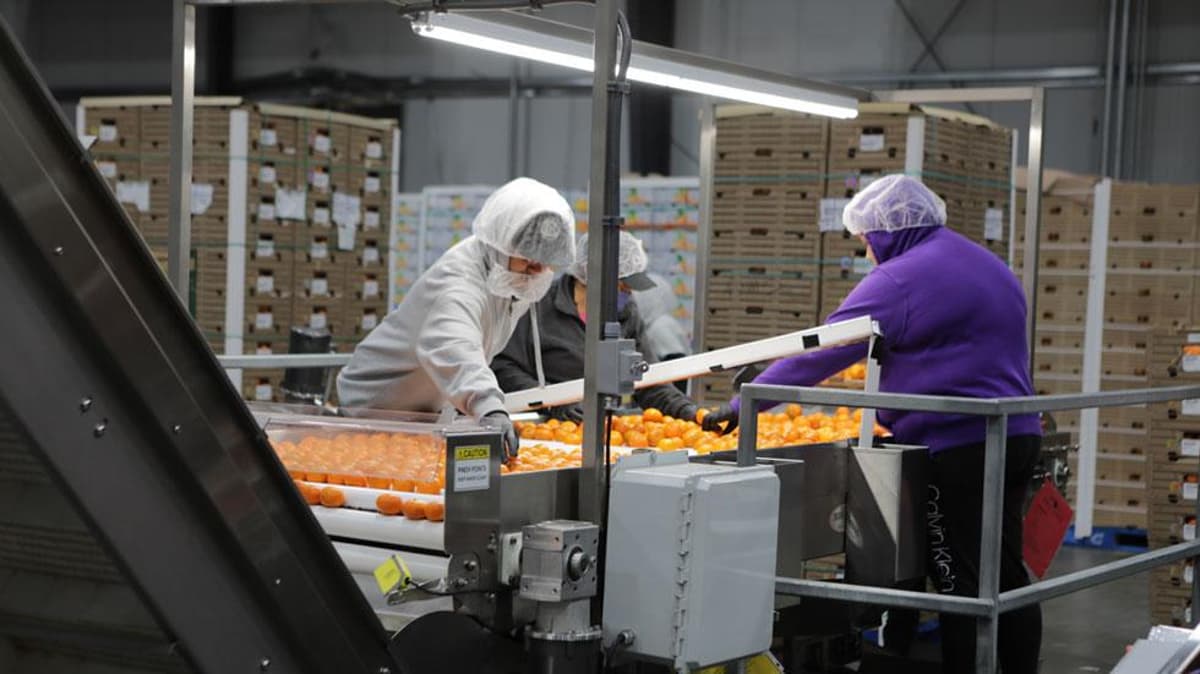 Temperature-Controlled Infrastructure Helps Combat Food Insecurity