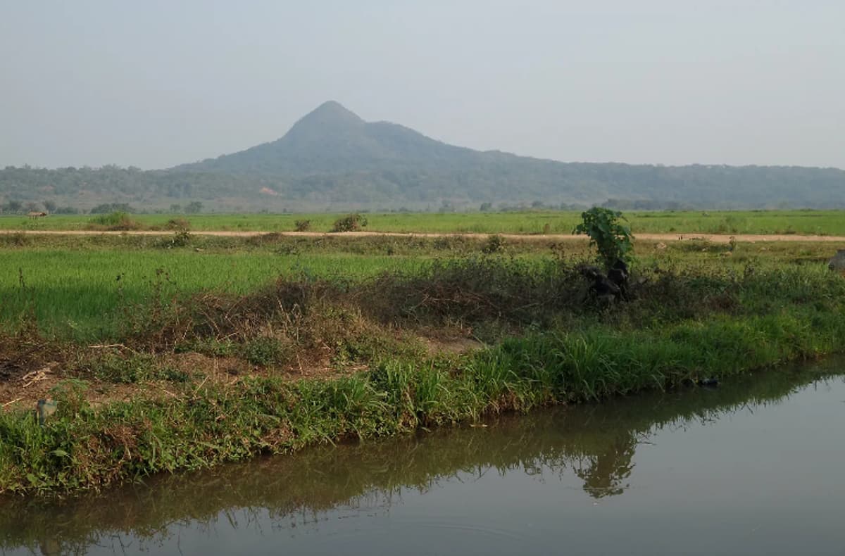 The Restorative Promise of Agroecology: Farming for Sovereignty and Resilience in Malawi