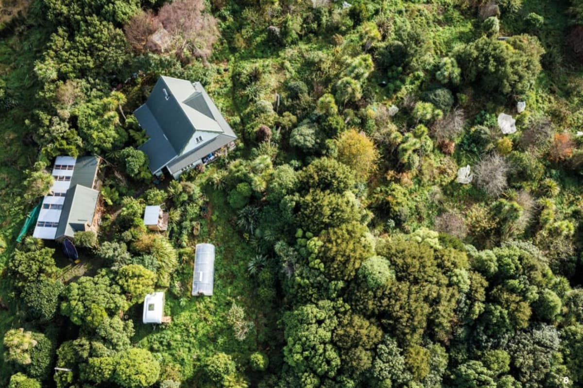 Forest Gardening for Resilience: Growing Regenerative Food Systems in New Zealand