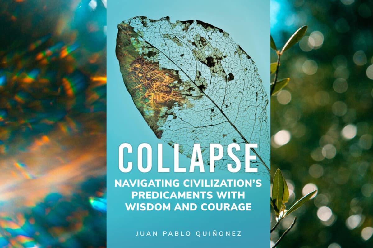 There’s No Single Path Through Collapse. It Spans Multiple Systems and Perspectives