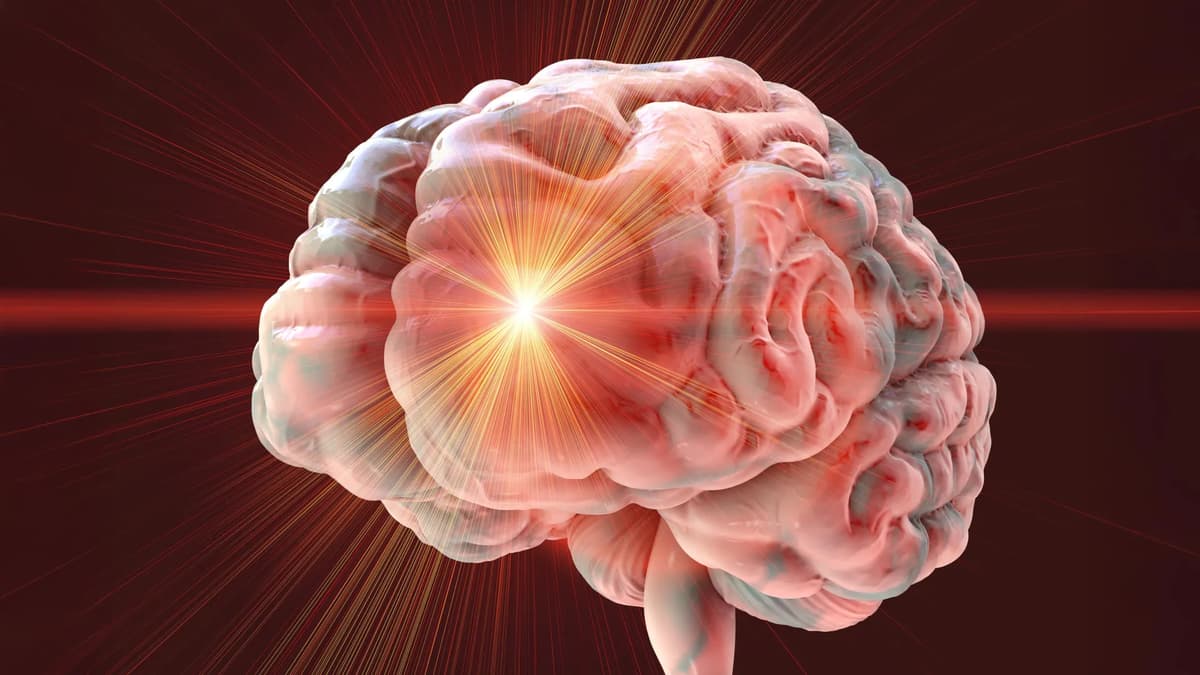 Popular Anti-Aging Drug Combo Caused Severe Brain Damage in Mice