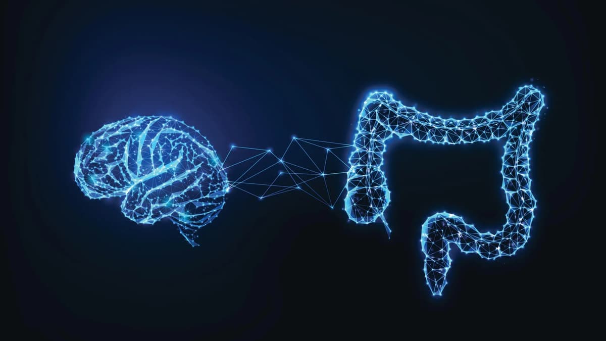 Scientists Discover Hidden Gut Trigger Behind ALS and Dementia