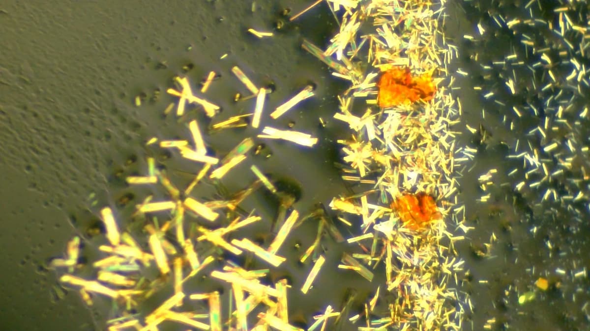 Scientists Discover a Strange Hidden State in “Sandwich” Molecules