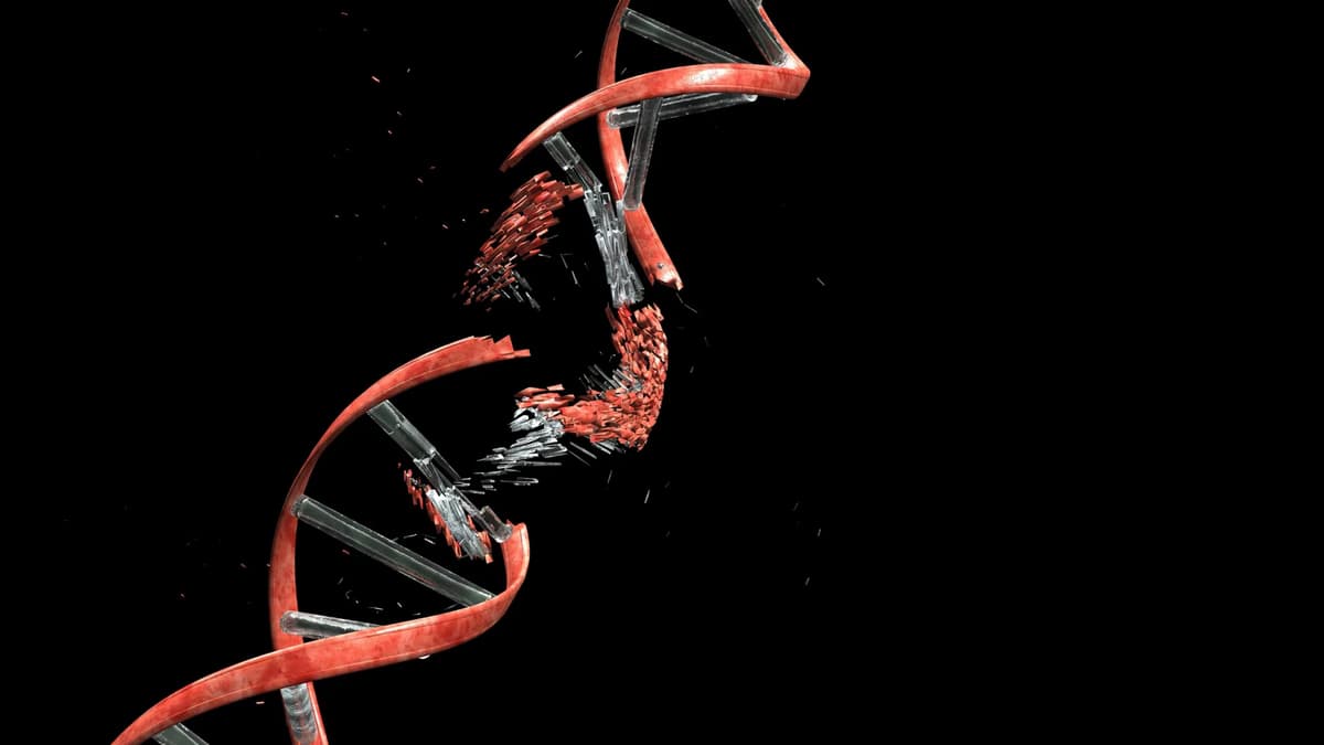 The 4x Rule: Why some People’s DNA Is More Unstable than Others