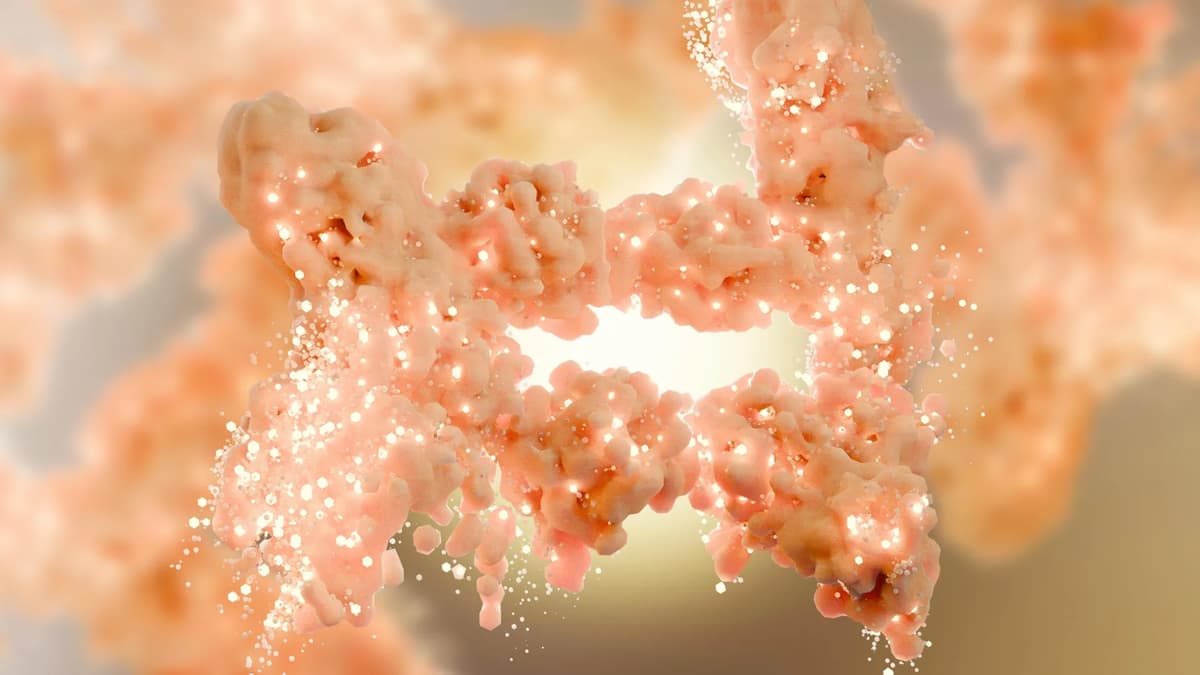 Surprising Obesity Discovery Rewrites Decades of Fat Metabolism Science