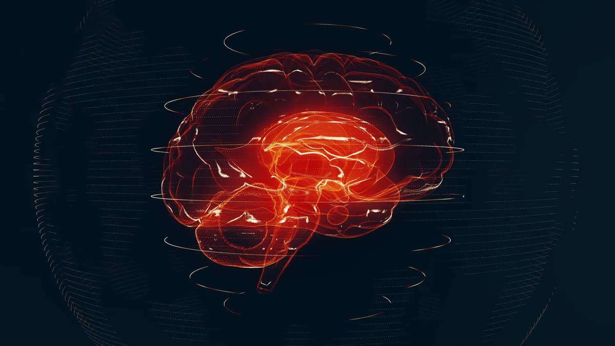 AI Reads Brain MRIs in Seconds and Flags Emergencies