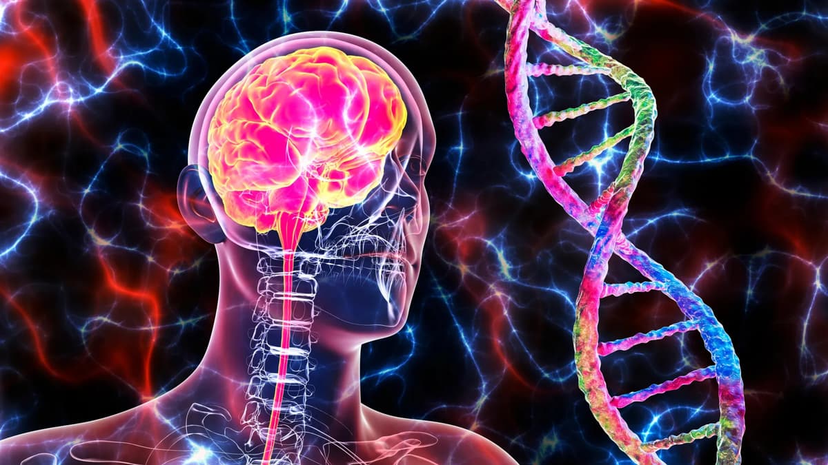 Scientists Discover a Surprising Cancer Link to Alzheimer’s Disease