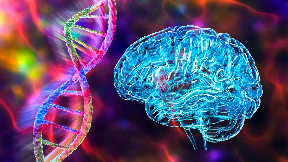 A Gene Mutation May Trap the Brain in the Wrong Reality in Schizophrenia Patients