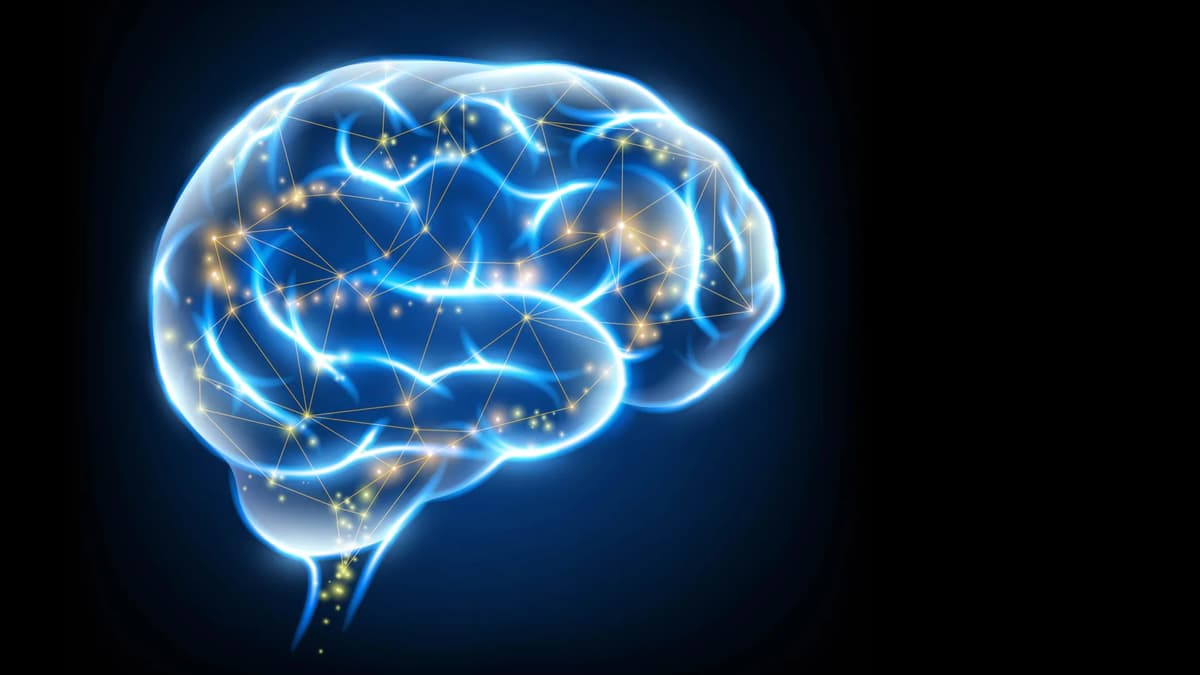 Scientists Create Supercharged Vitamin K that Helps the Brain Heal Itself