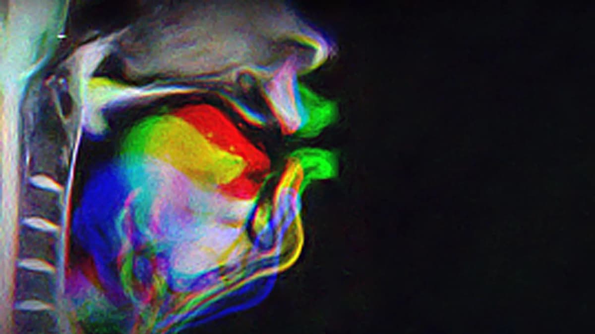 New Brain Study Reveals Speech Learning Works Differently than We Thought