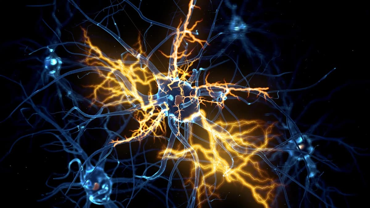Human Organoids Reveal How to Reverse “Irreversible” Nerve Damage
