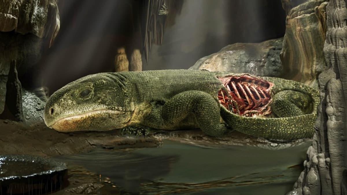 Mummified Reptile Hints at the Origins of How We Breathe