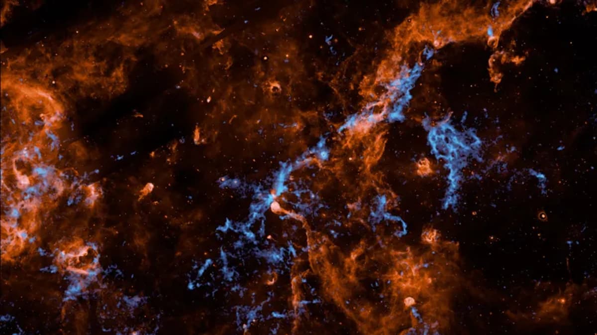 Clouds of Water Ice Thread Stellar Nurseries in the Milky Way