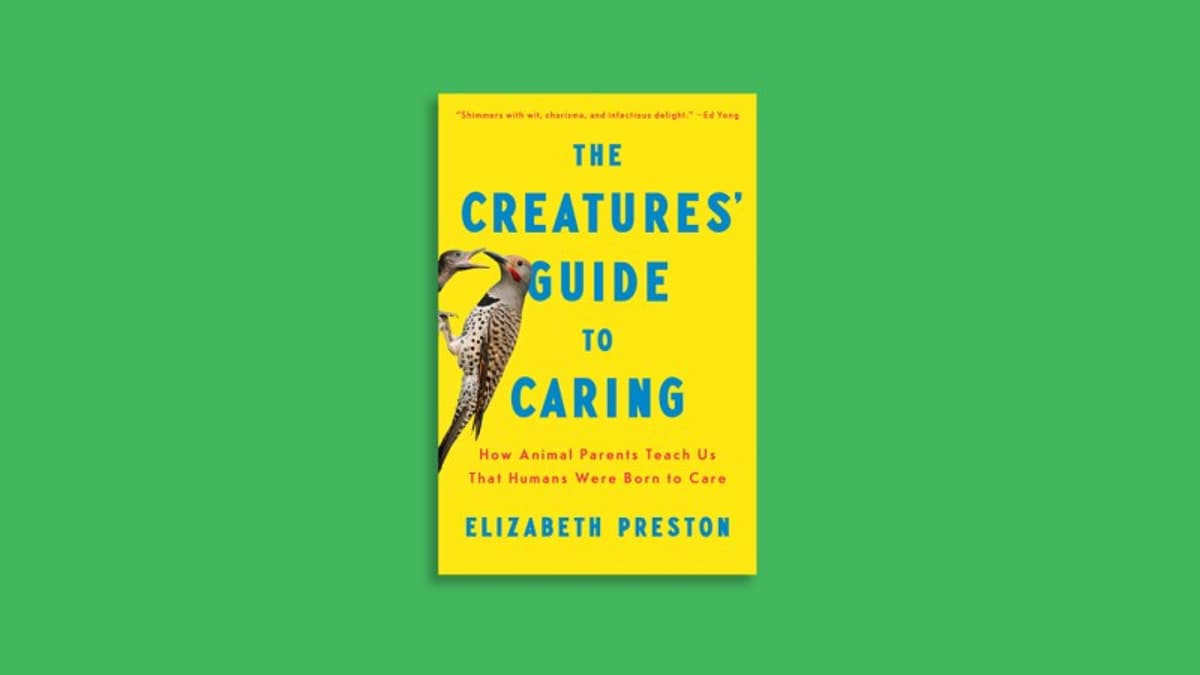 A New Book Finds Parenting Inspiration in the Animal Kingdom