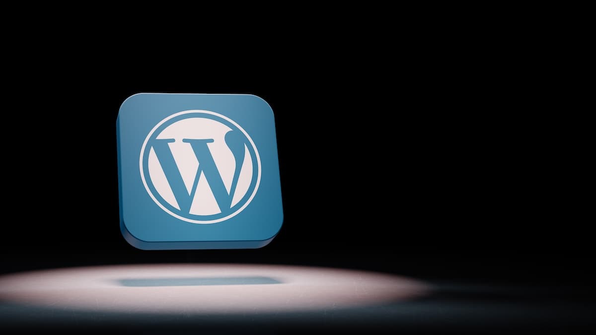 Kirki, Burst Statistics WordPress Plugin Flaws in Attackers’ Crosshairs
