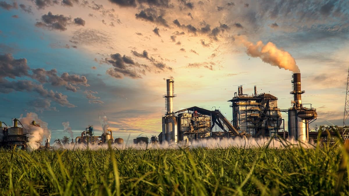 Ransomware Attack Shuts Down Mills of Australia’s Second-Largest Sugar Producer