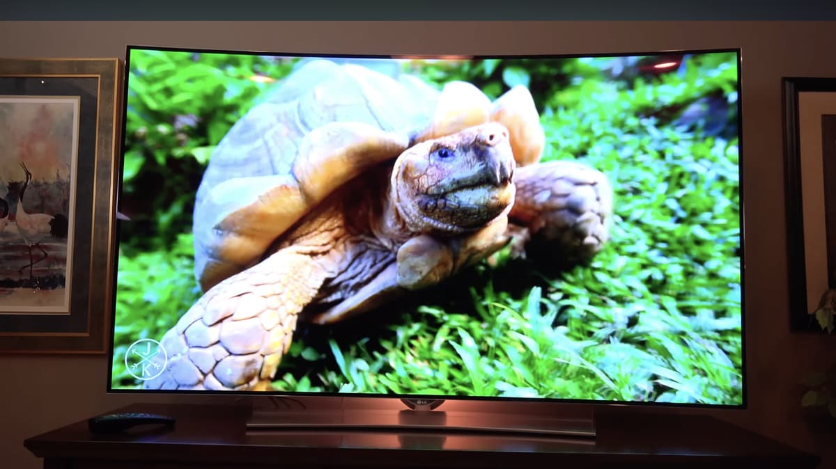 Why Did Most Major Brands Stop Making Curved TVs?