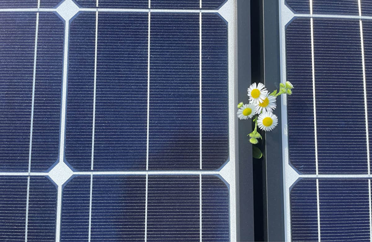 7 Solar Maintenance Tips for Peak Summer Production Why Spring Solar Inspections Make or Break Your Summer