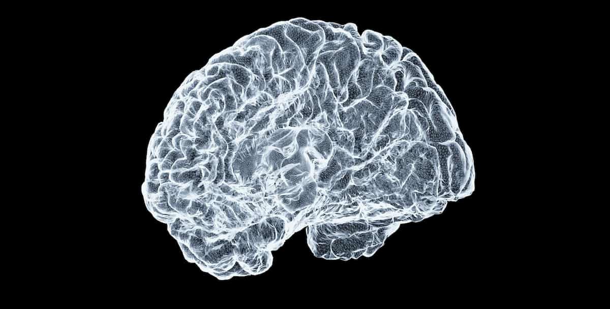 Cognitive Decline Linked To Seasoning That 90% Overconsume (M)