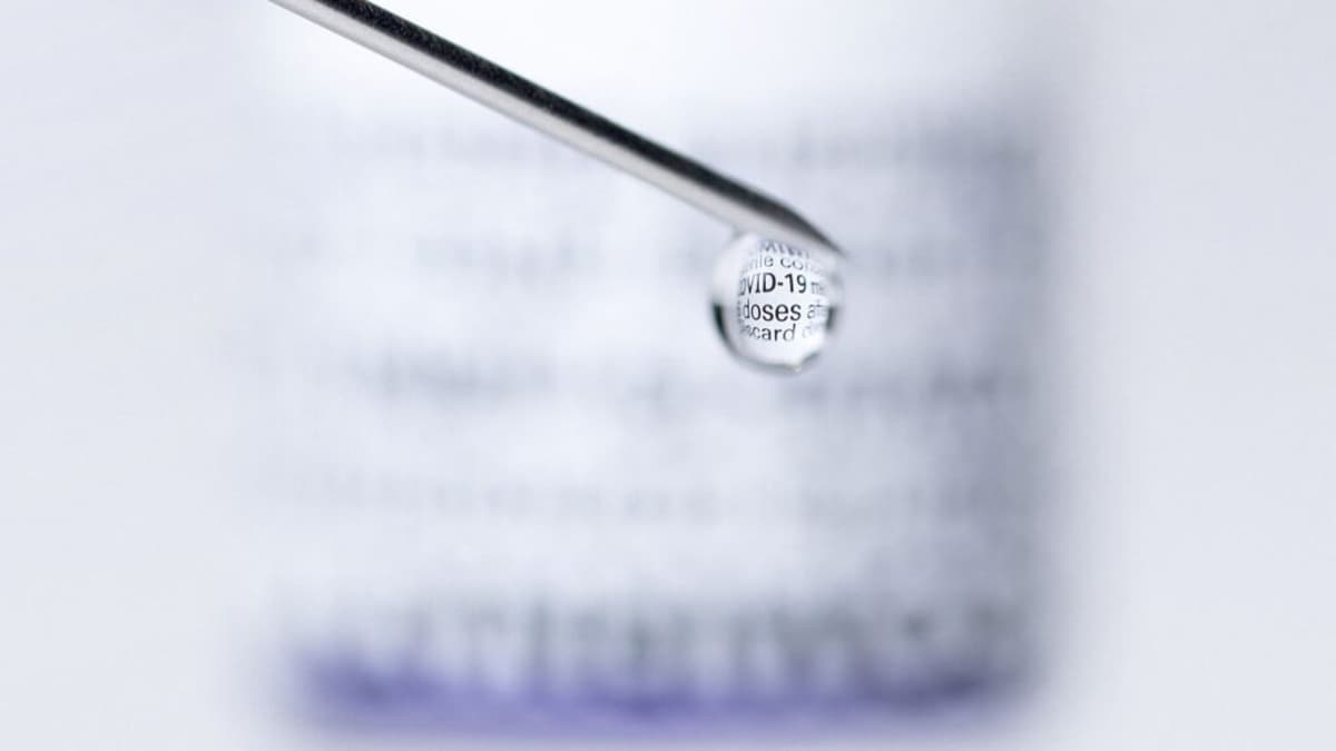 Covid Vaccination Cut Risk of Adverse Heart Events, Large Study Finds