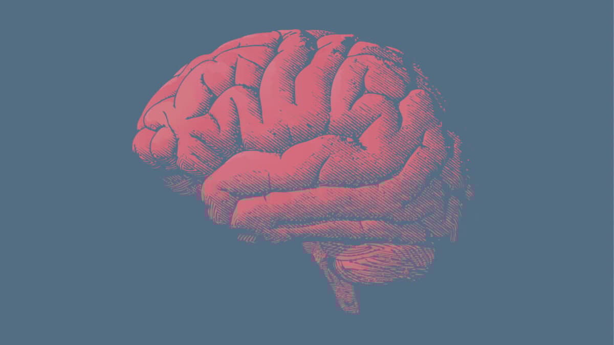 STAT+: FDA Is ‘Not Convinced’ UniQure’s Huntington’s Therapy Has Benefit, Senior Official Says