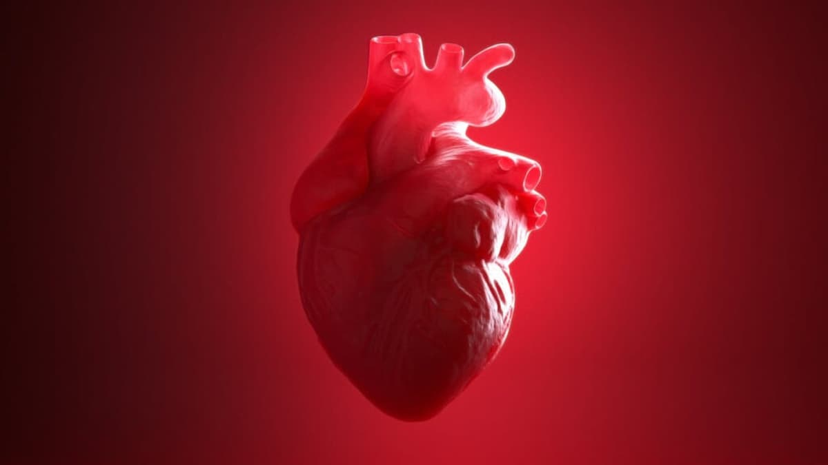 STAT+: Cytokinetics Drug Myqorzo Meets Twin Efficacy Goals in Study of Genetic Heart Disease