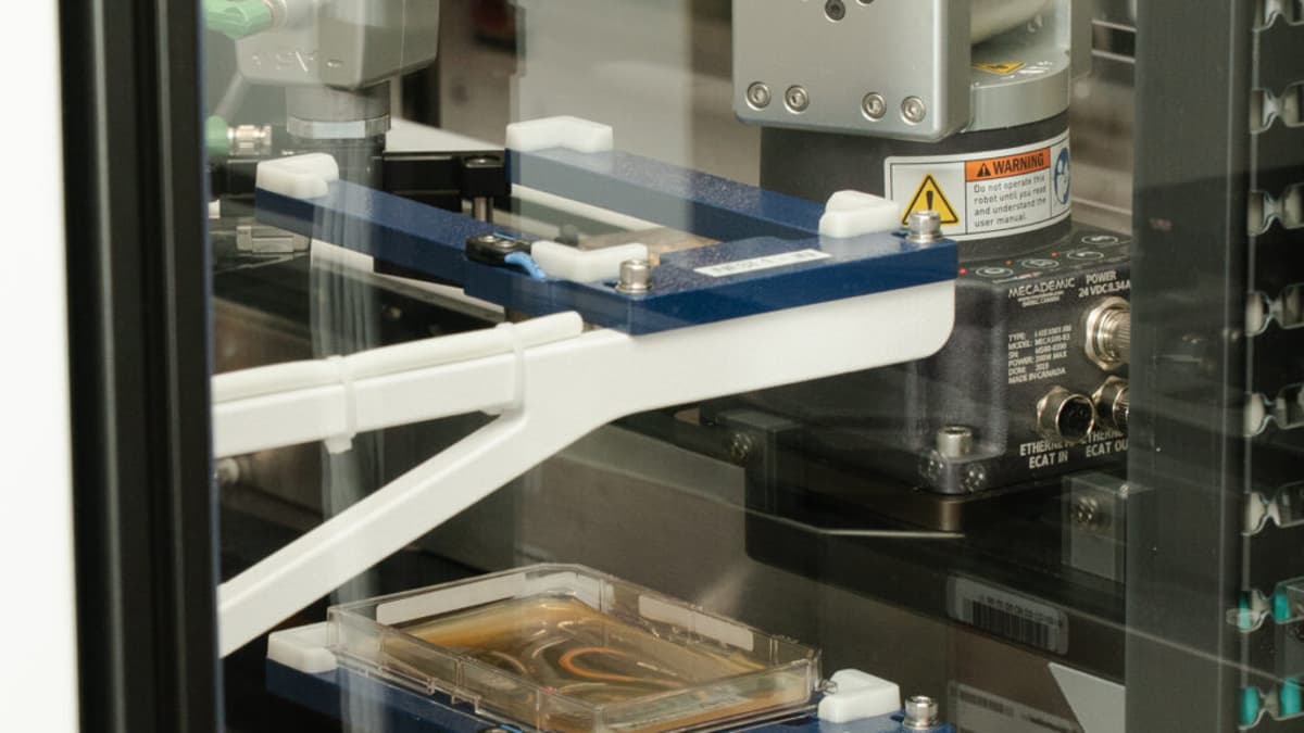 STAT+: The China Question Is Tearing Biotech Apart