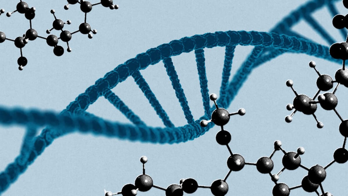 STAT+: Drug Meant to Make Gene Therapy Safer May Also Make It Less Effective