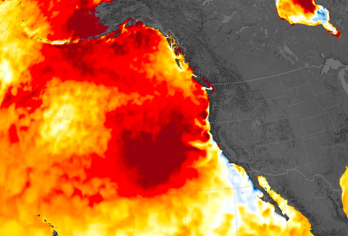 ‘The Blob’ Marine Heatwave Reignites Off California, Shattering Records