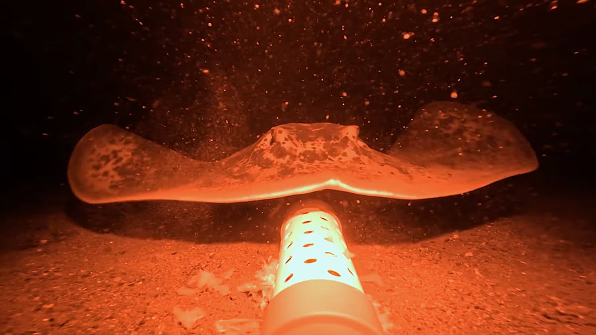 700ft Underwater Camera Reveals Terrifying ‘Real-Life Monsters’ Off Indonesia (Video)