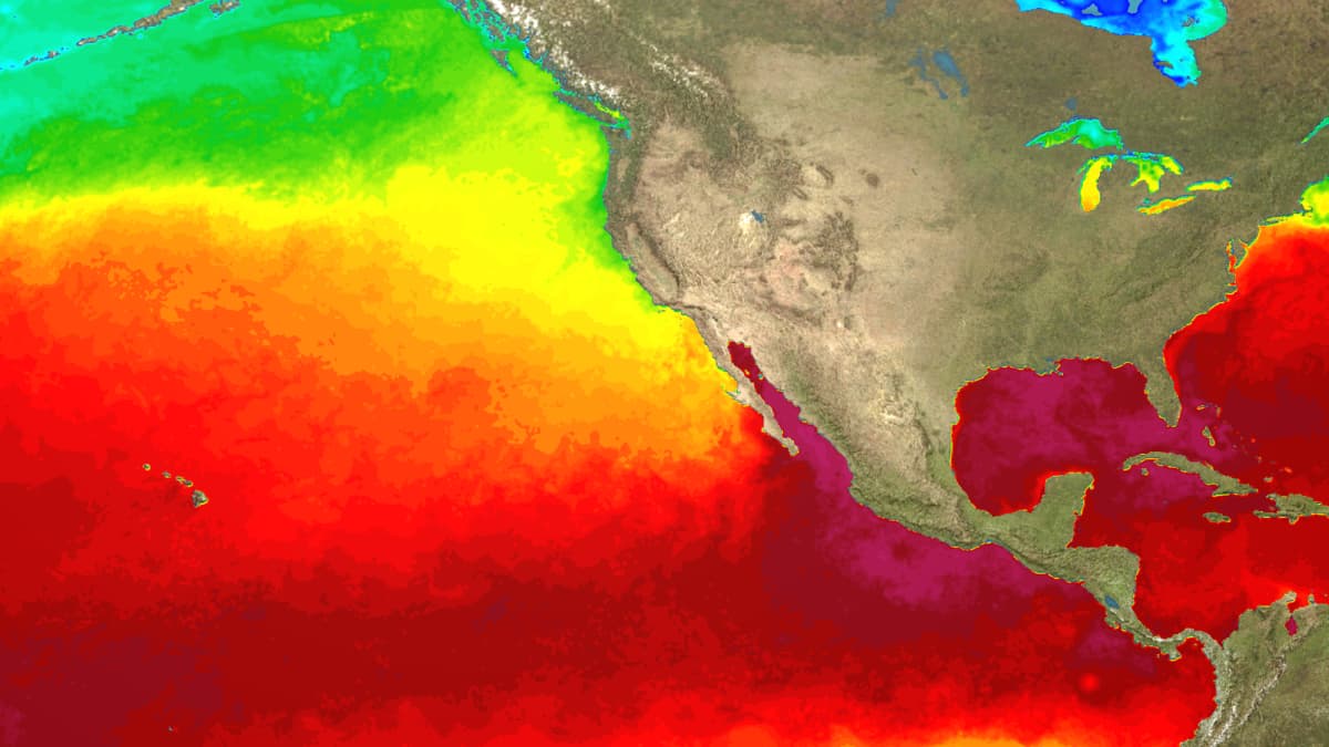 ‘Godzilla’ El Niño Could Reshape Surf Seasons Worldwide, Forecaster Warns