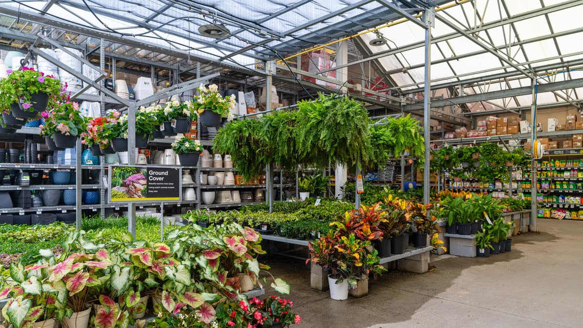 This Walmart Planter Is A Best-Seller That Belongs In Your Veggie Garden