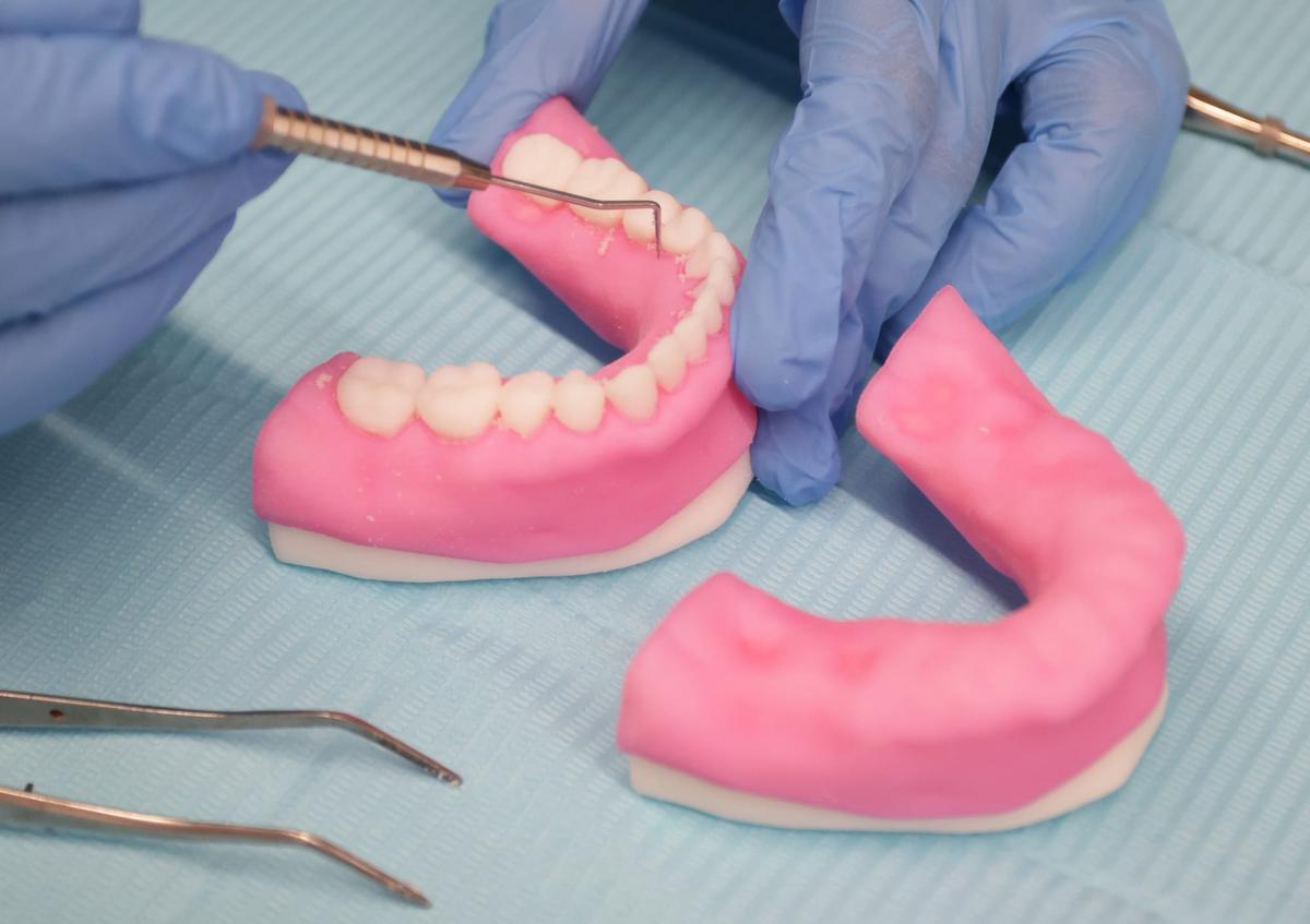 Stratasys Introduces Multi-Material 3D Printed Anatomical Model Preset for Dental Training