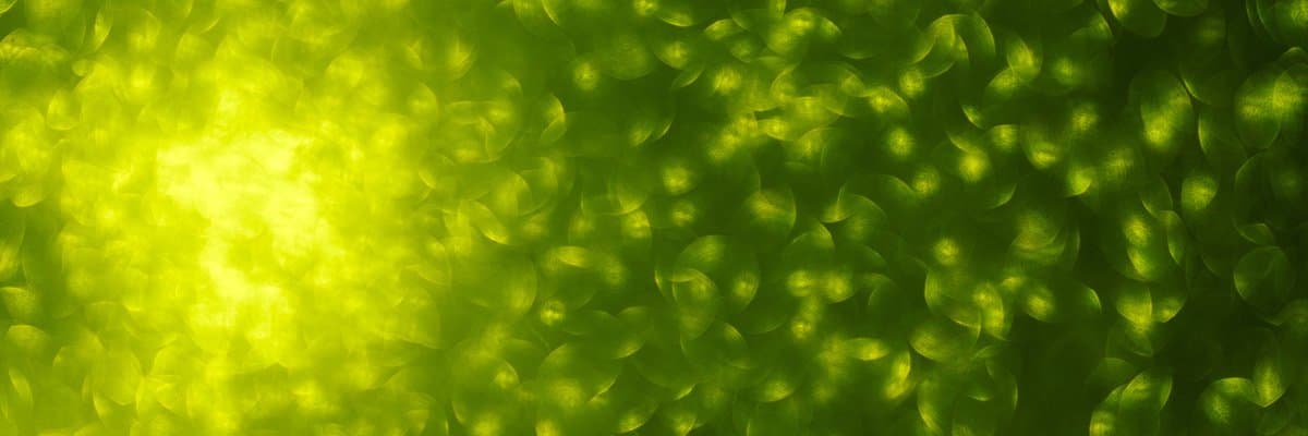 Understand Greenhouse Gas Emissions Vs. Carbon Emissions