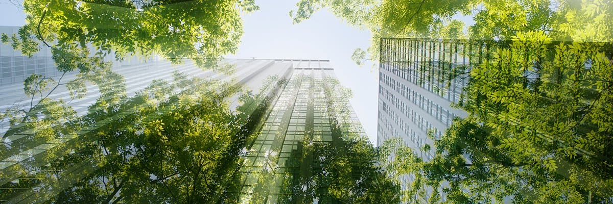 Sustainable Business Travel Tips for CIOs