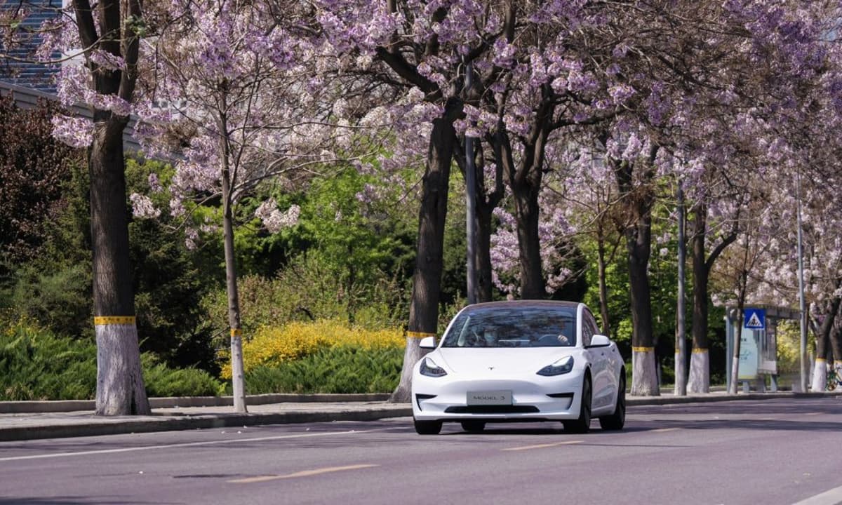 Tesla Plans to Resolve Its Angriest Bunch of Owners: Here’s How