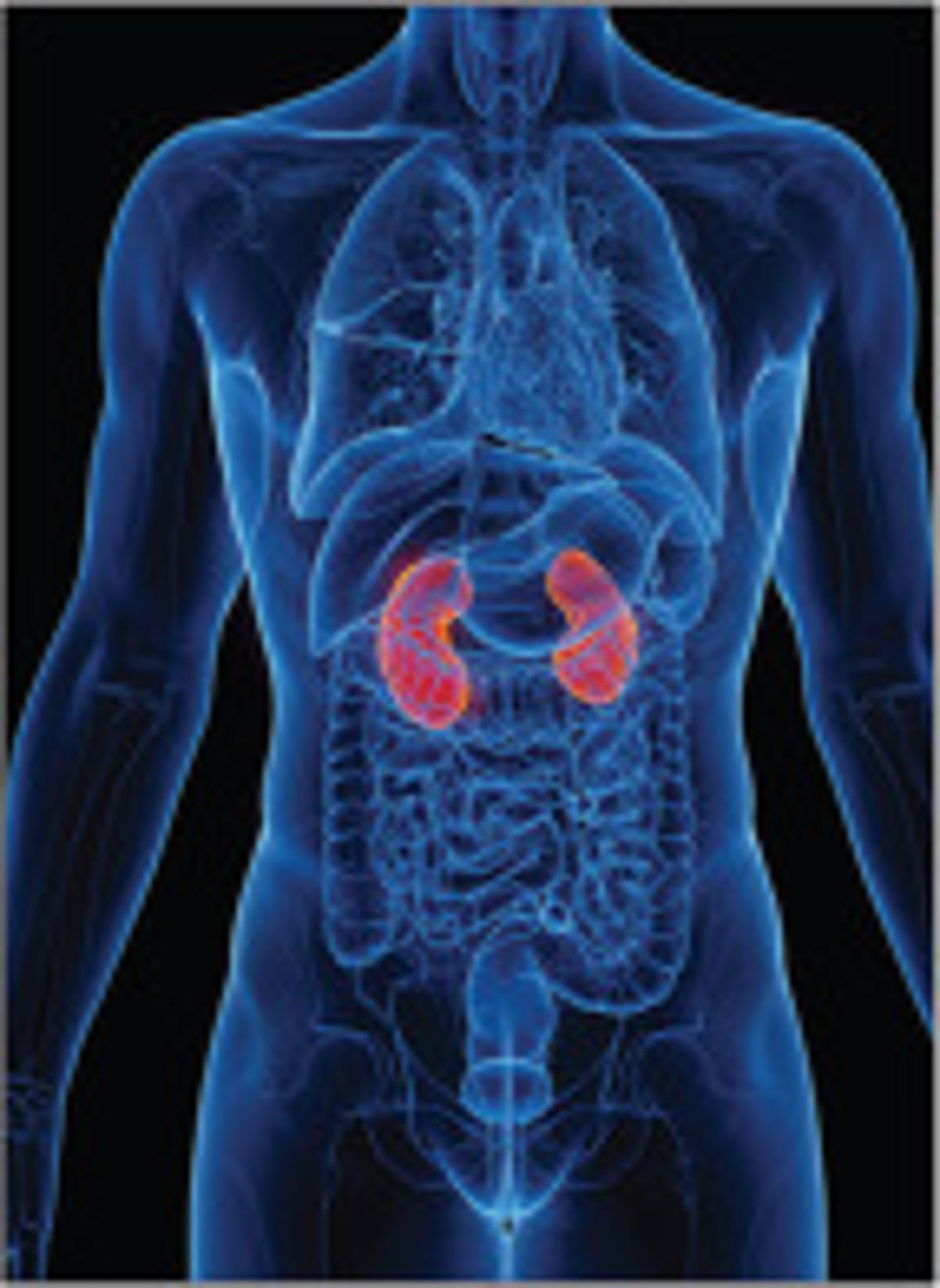 [Comment] Endothelin Antagonism in IgA Nephropathy: Promise Ahead of Proof?
