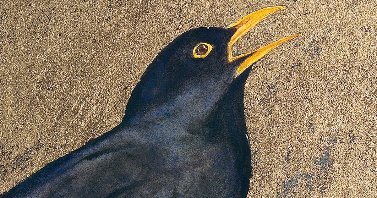 The Bird That Is Your Life