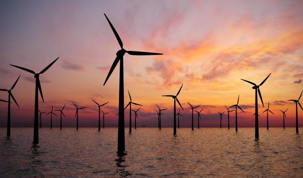 The Future of Marine Renewable Energy