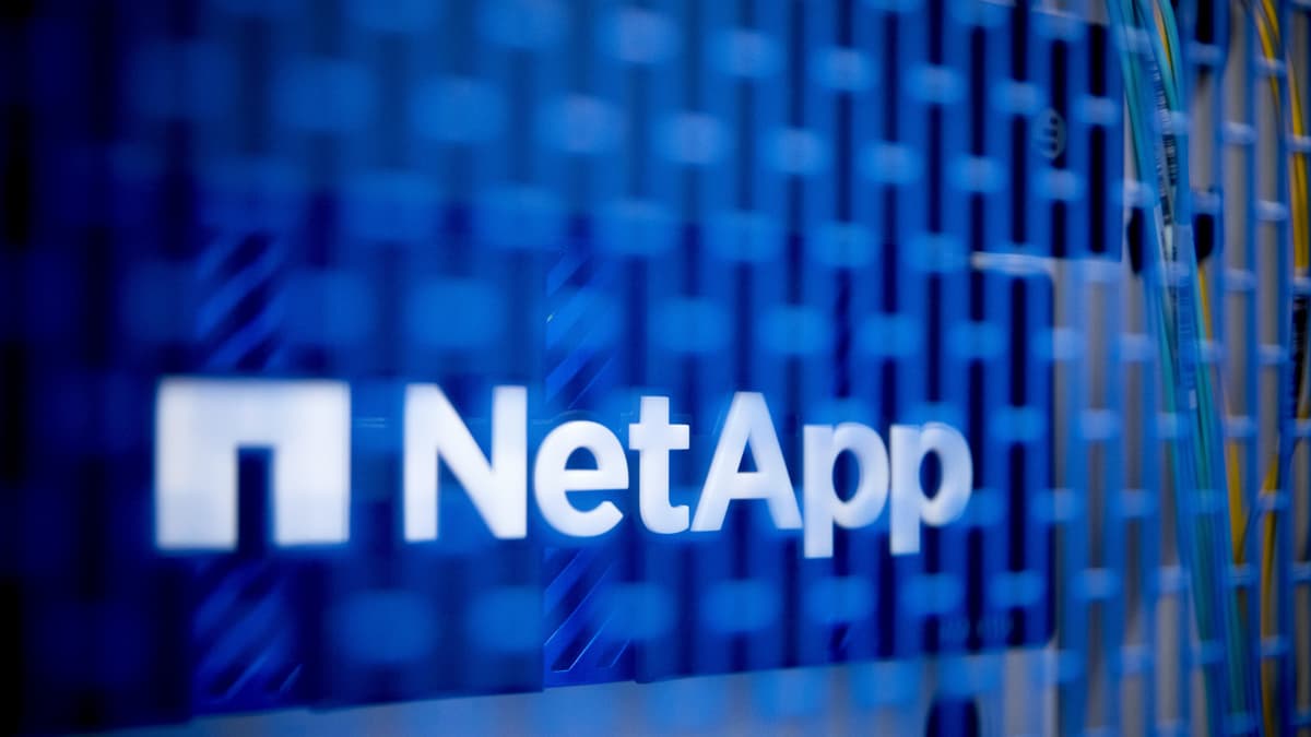 Morgan Stanley Revisits NetApp Stock Price Target After Earnings