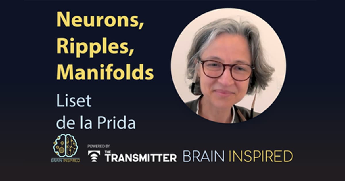 Liset De La Prida Explains How Neuron Subtypes May Control the Activity of Large Neural Populations, From Manifolds to Ripples