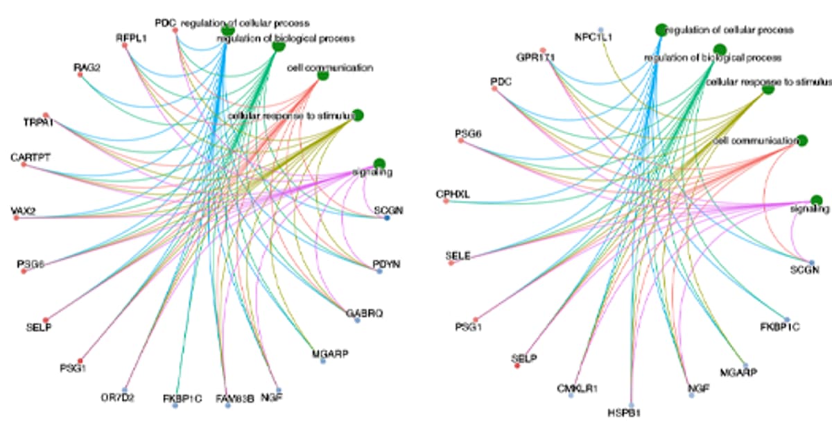 Tracking Health in Autistic Adults, and More