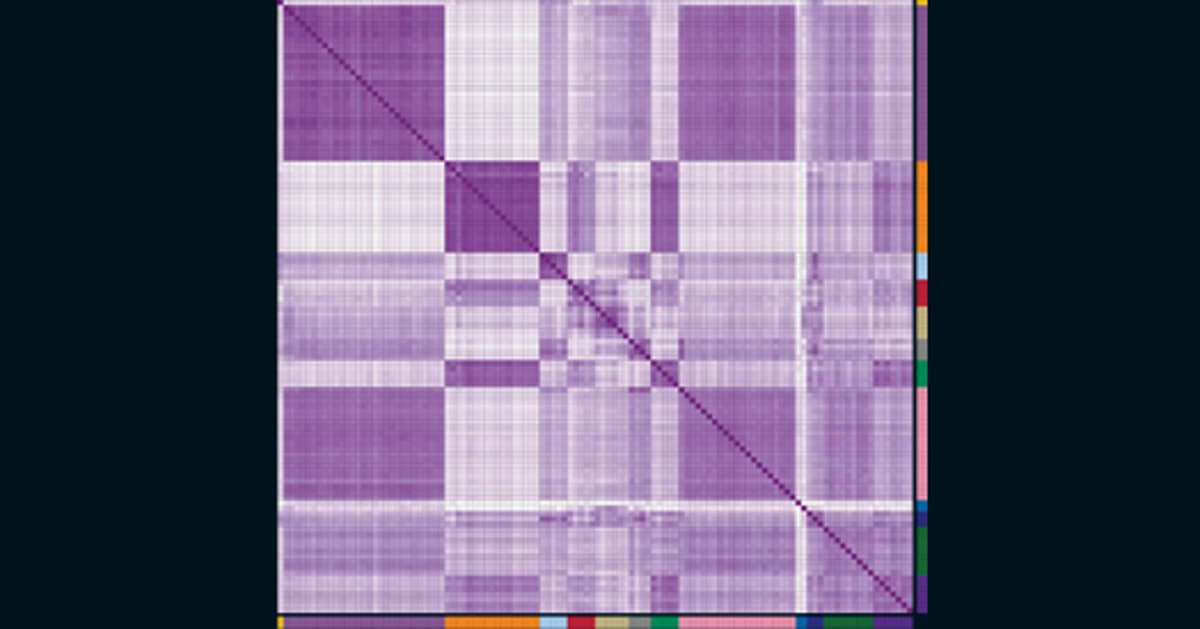 Gene Activity in Human Cortex Shows Striking Sex Differences