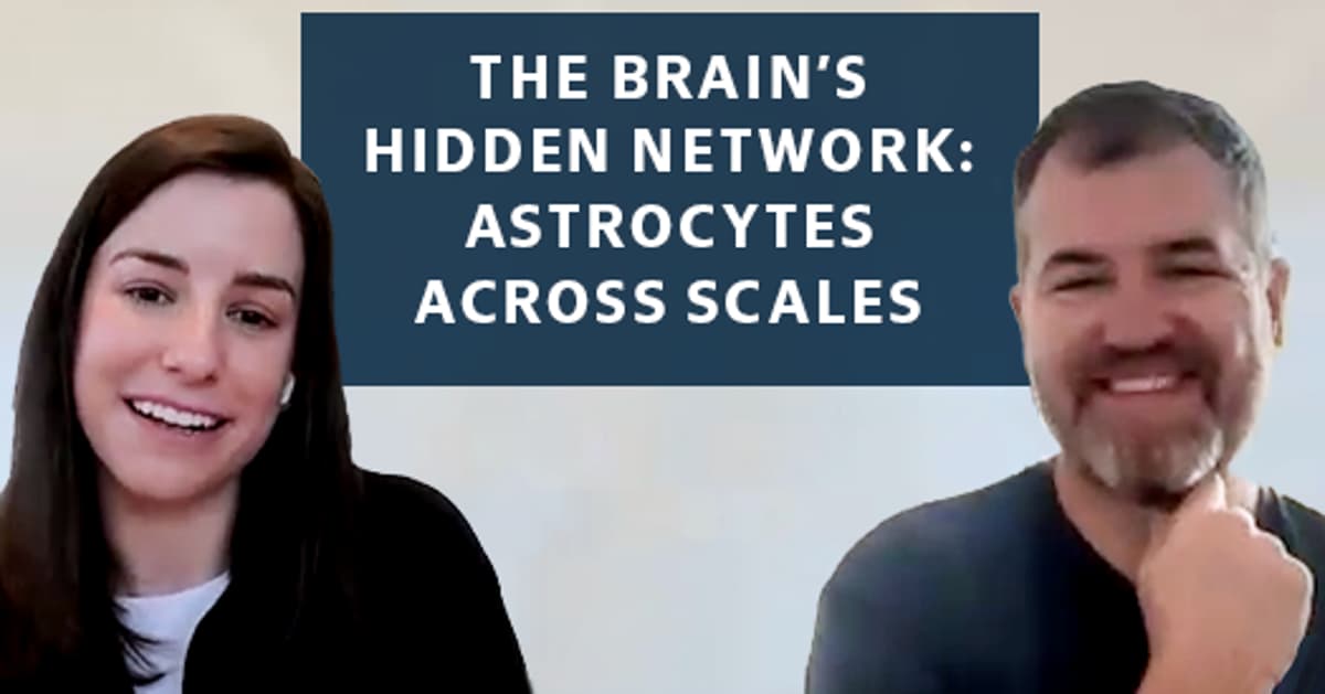 The Silent Majority: How Astrocytes Shape the Brain Across Scales
